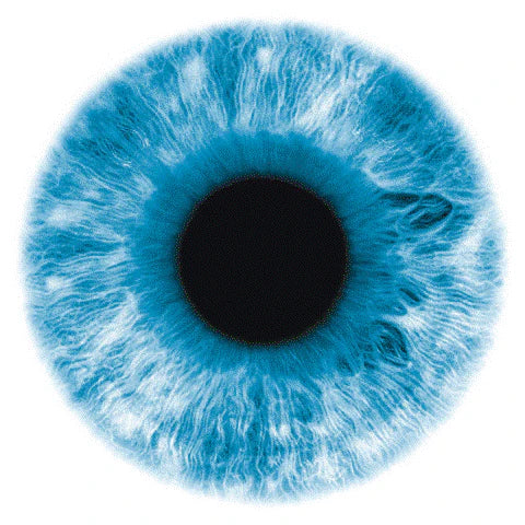 Close-up of a blue iris highlighting eye health and dry eye awareness